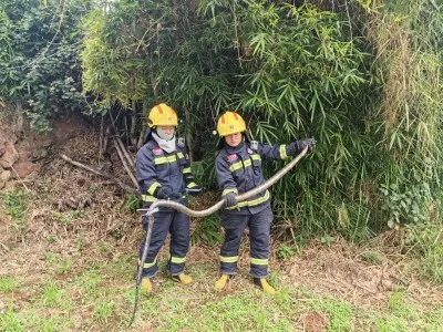惊险!眼镜王蛇出没,“捕蛇达人”出手拿下