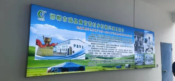 邯郸磁县黄官营村美丽的明天