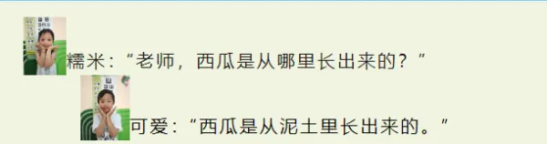 【美好四幼·项目化活动】我与西瓜那些事儿