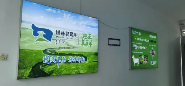 邯郸磁县黄官营村美丽的明天