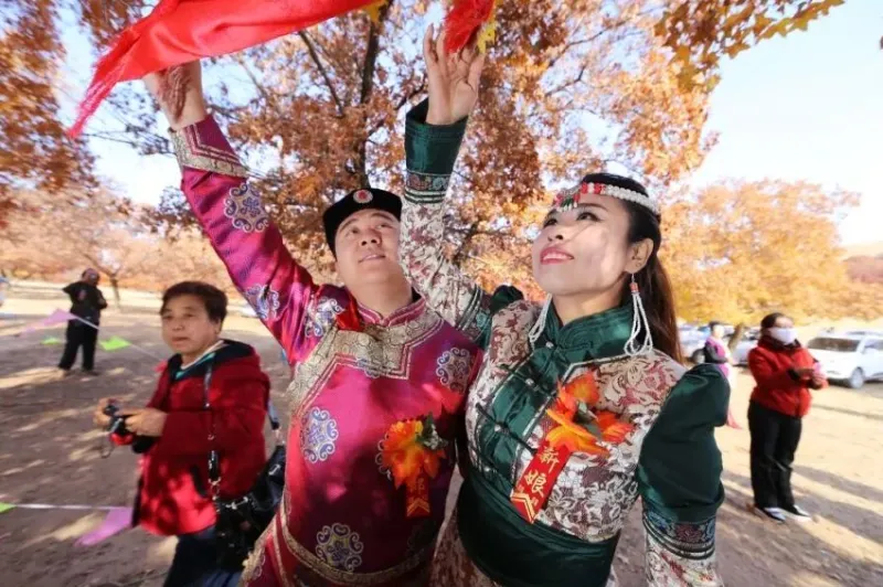 “枫”从草原来—2024兴安盟五角枫文化旅游季 即将呈现 “枫”从草原来—2024兴安盟五角枫文化旅游季 即将呈现