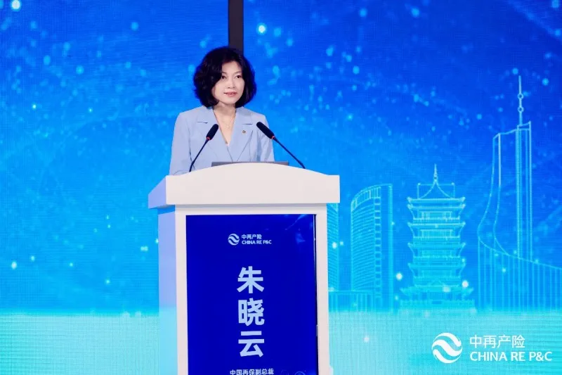 2024年中国财产再保险市场研讨会召开 2024年中国财产再保险市场研讨会召开