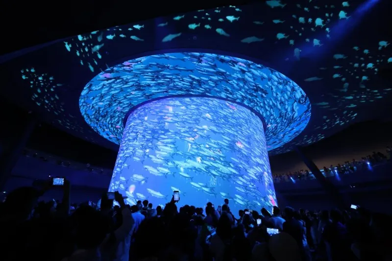 深圳小梅沙海洋世界国庆黄金周试营业，1.5万游客尝鲜