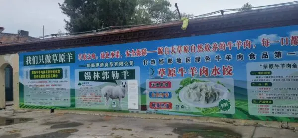 邯郸磁县黄官营村美丽的明天