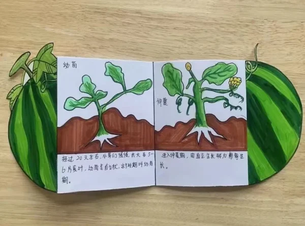 【美好四幼·项目化活动】我与西瓜那些事儿