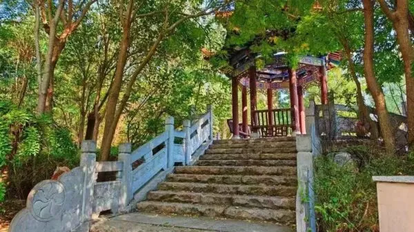 金秋九月,在“磁”与你相“御”!