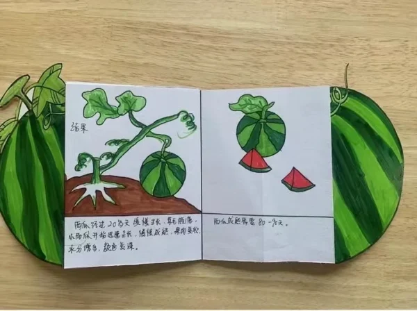 【美好四幼·项目化活动】我与西瓜那些事儿