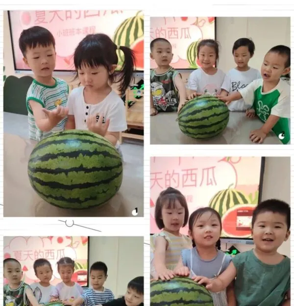 【美好四幼·项目化活动】我与西瓜那些事儿