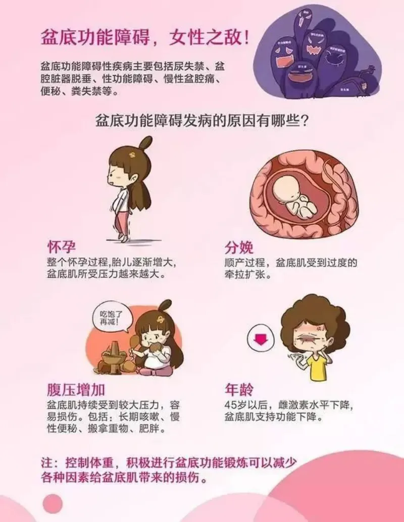 【喜迎国庆、盆底康复活动】产后整体康复,守护女性全生命周期 【喜迎国庆、盆底康复活动】产后整体康复,守护女性全生命周期