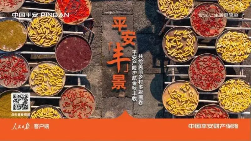 【丰收节里话丰收】百场直播助农行动启动,乡村振兴“活力满满” 【丰收节里话丰收】百场直播助农行动启动,乡村振兴“活力满满”