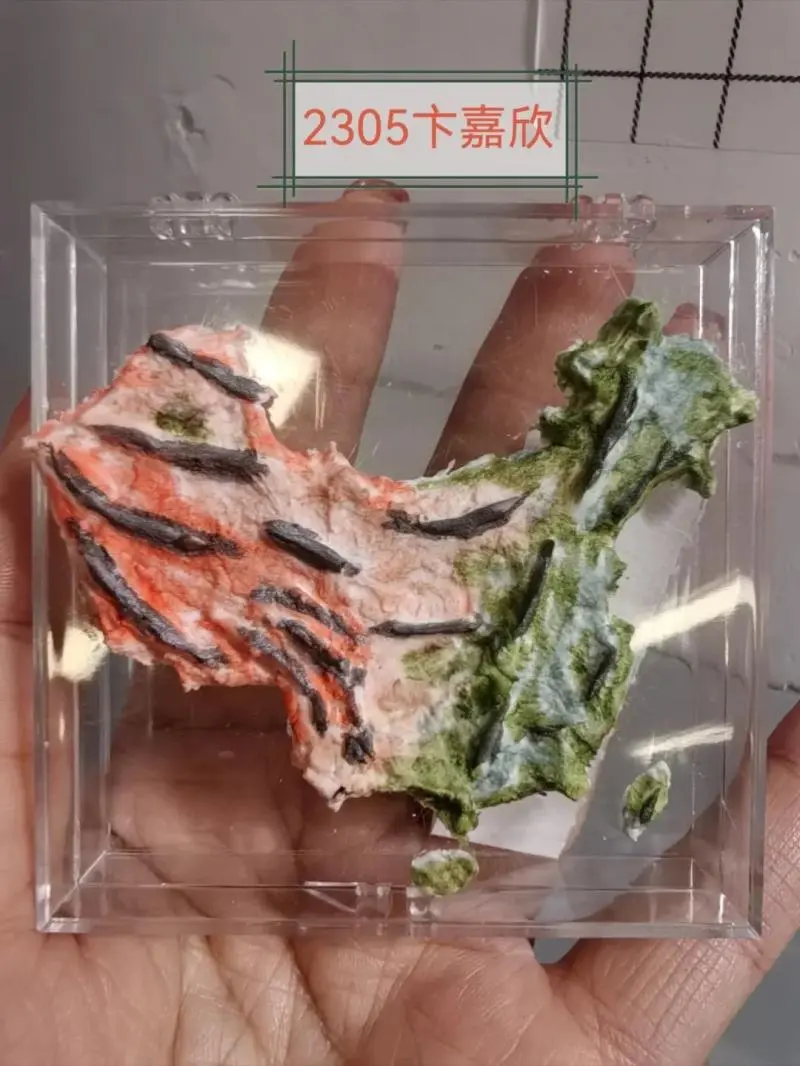 探索地理之美——中学地理模型制作活动圆满落幕