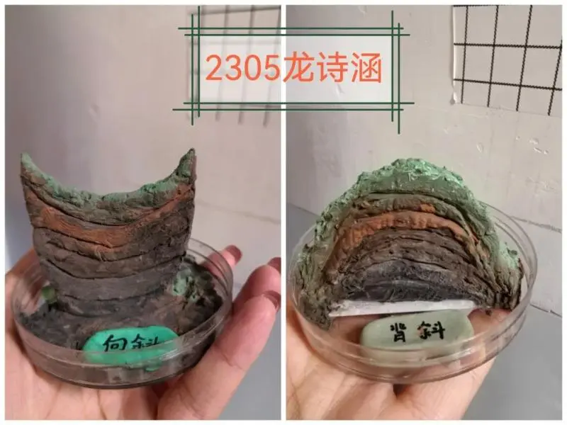 探索地理之美——中学地理模型制作活动圆满落幕