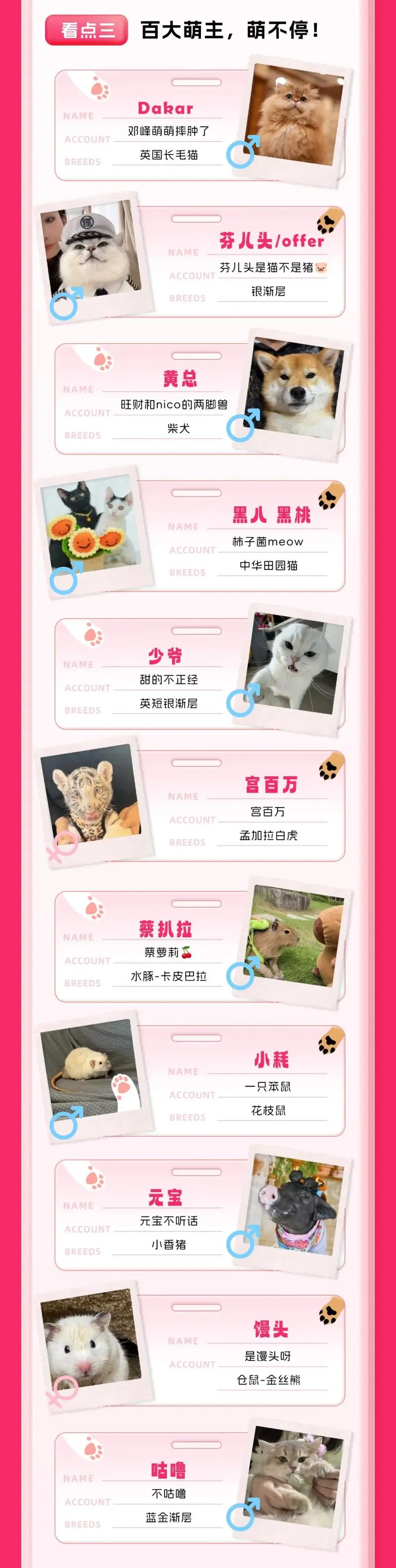 引领“萌”力经济!一图读懂抖音商城「亲子萌宠」品类日 引领“萌”力经济!一图读懂抖音商城「亲子萌宠」品类日
