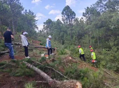 巧家县扎实推进森林防火应急道路项目建设