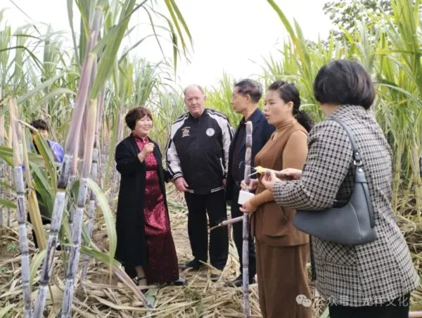 走出新思路 助力乡村振兴