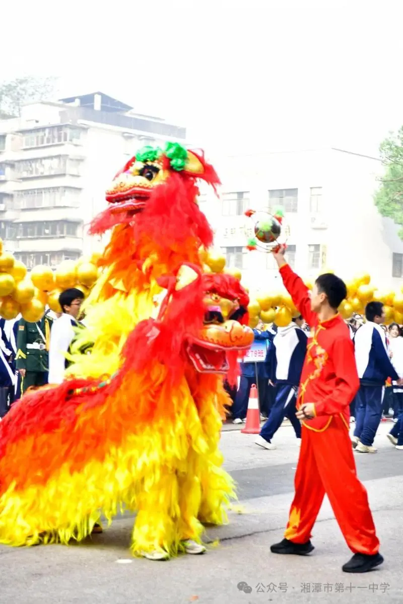 湘潭市十一中运动会——激情与梦想的璀璨绽放