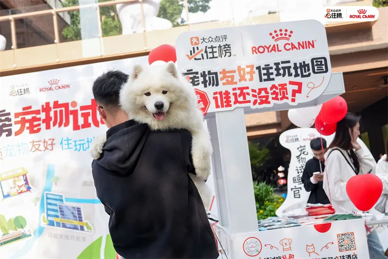 携宠同行,乐享六城:皇家携手大众点评“必住榜”共绘宠物友好新蓝图 携宠同行,乐享六城:皇家携手大众点评“必住榜”共绘宠物友好新蓝图