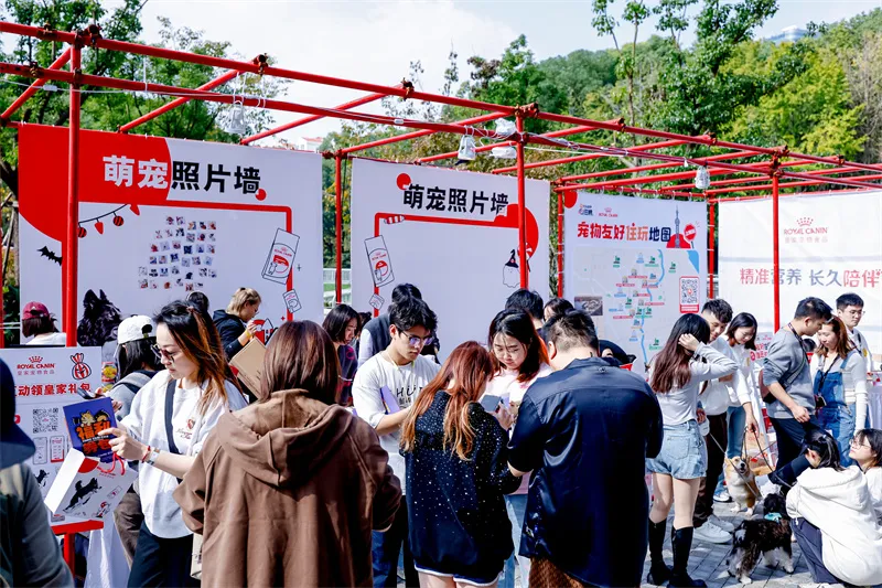 携宠同行,乐享六城:皇家携手大众点评“必住榜”共绘宠物友好新蓝图 携宠同行,乐享六城:皇家携手大众点评“必住榜”共绘宠物友好新蓝图