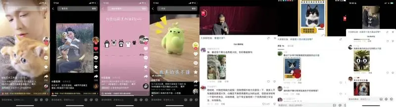 抖音电商百大萌主活动收官!内容驱动流量增长,解锁宠物营销新思路 抖音电商百大萌主活动收官!内容驱动流量增长,解锁宠物营销新思路