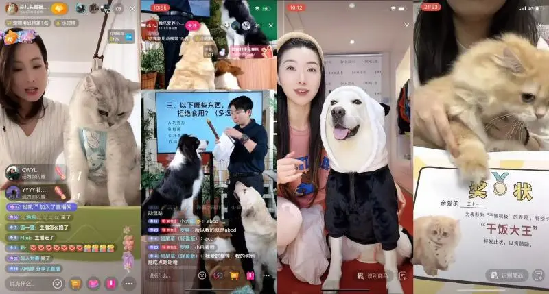 抖音电商百大萌主活动收官!内容驱动流量增长,解锁宠物营销新思路 抖音电商百大萌主活动收官!内容驱动流量增长,解锁宠物营销新思路