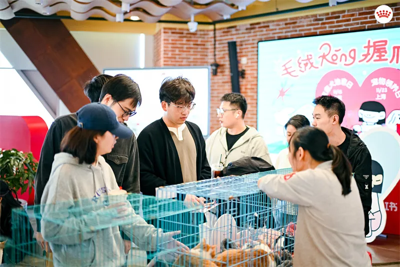 携宠上班,双向治愈:皇家携手小红书延续职场宠物友好 携宠上班,双向治愈:皇家携手小红书延续职场宠物友好