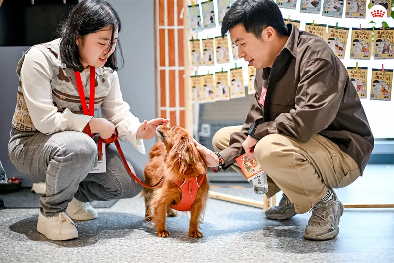携宠上班,双向治愈:皇家携手小红书延续职场宠物友好 携宠上班,双向治愈:皇家携手小红书延续职场宠物友好