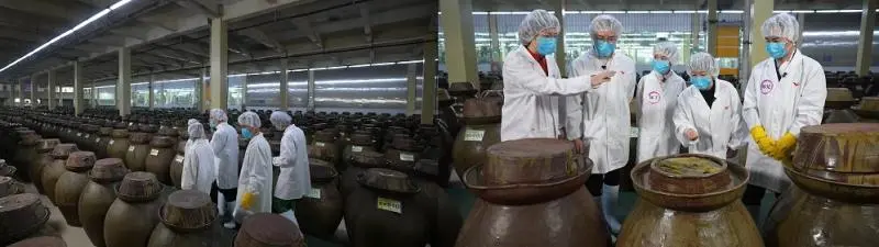 统一老坛酸菜供应商工厂参观第11年 快手团深度揭秘品质奥秘 统一老坛酸菜供应商工厂参观第11年 快手团深度揭秘品质奥秘