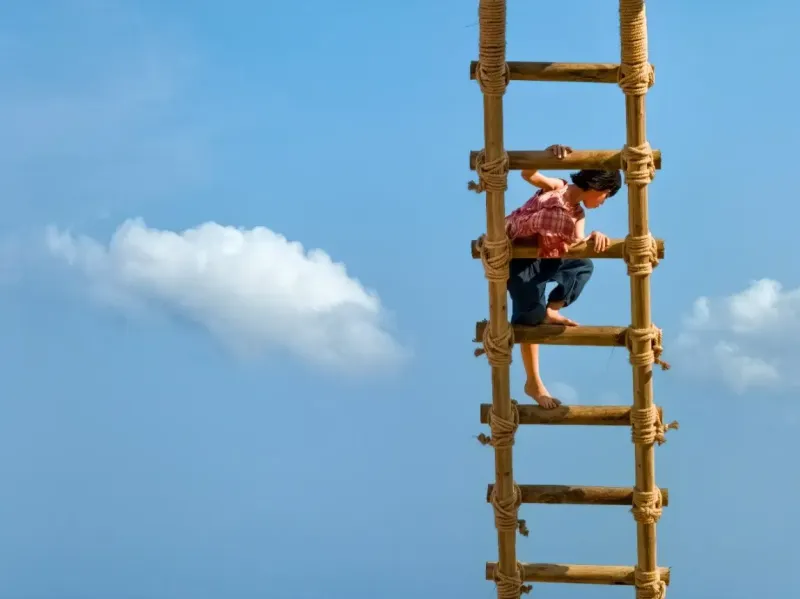 温暖的人先看到世界 温暖的人先看到世界