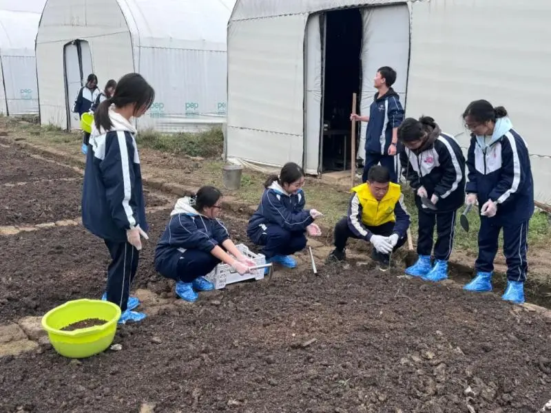 湘潭市大中小学思政引领一体化——农耕文化研学活动 湘潭市大中小学思政引领一体化——农耕文化研学活动