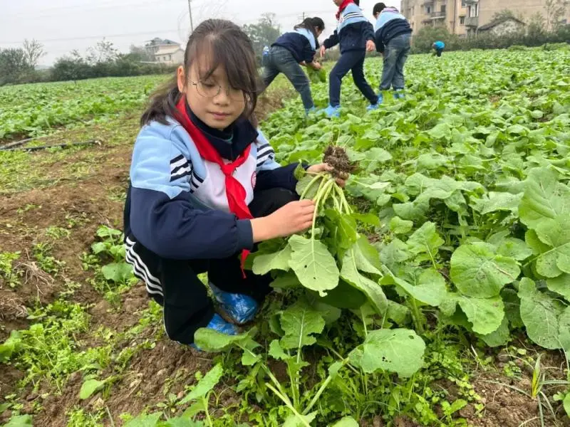 湘潭市大中小学思政引领一体化——农耕文化研学活动 湘潭市大中小学思政引领一体化——农耕文化研学活动