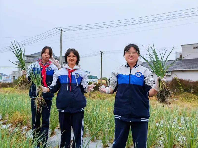 湘潭市大中小学思政引领一体化——农耕文化研学活动 湘潭市大中小学思政引领一体化——农耕文化研学活动