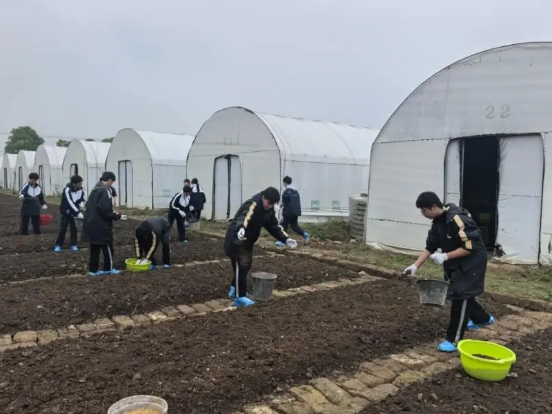湘潭市大中小学思政引领一体化——农耕文化研学活动 湘潭市大中小学思政引领一体化——农耕文化研学活动