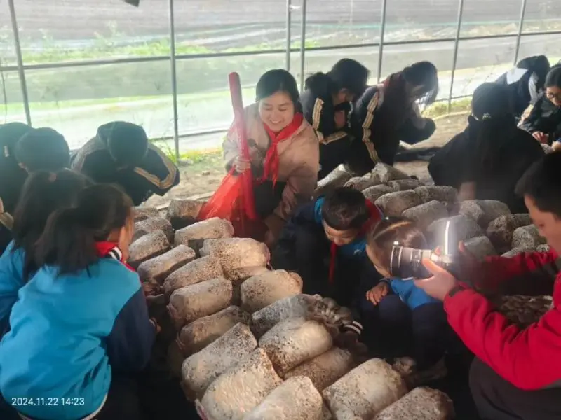 湘潭市大中小学思政引领一体化——农耕文化研学活动 湘潭市大中小学思政引领一体化——农耕文化研学活动