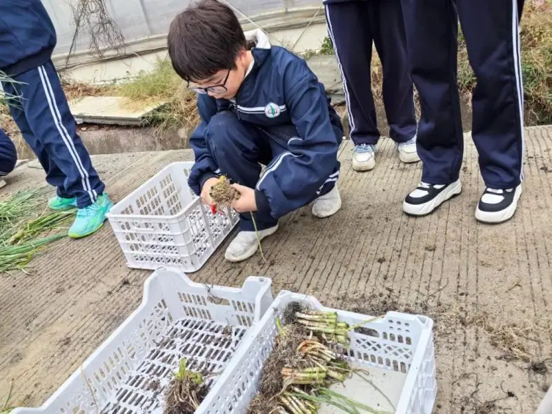 湘潭市大中小学思政引领一体化——农耕文化研学活动 湘潭市大中小学思政引领一体化——农耕文化研学活动