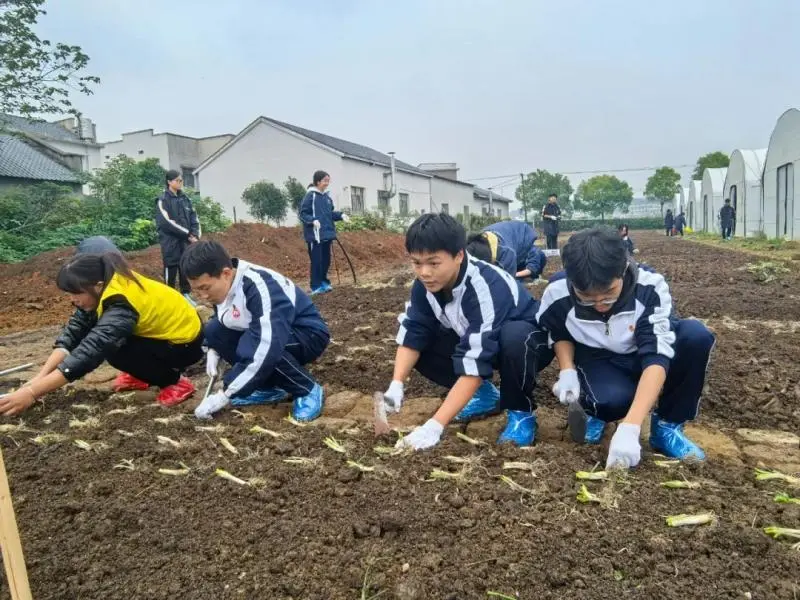 湘潭市大中小学思政引领一体化——农耕文化研学活动 湘潭市大中小学思政引领一体化——农耕文化研学活动