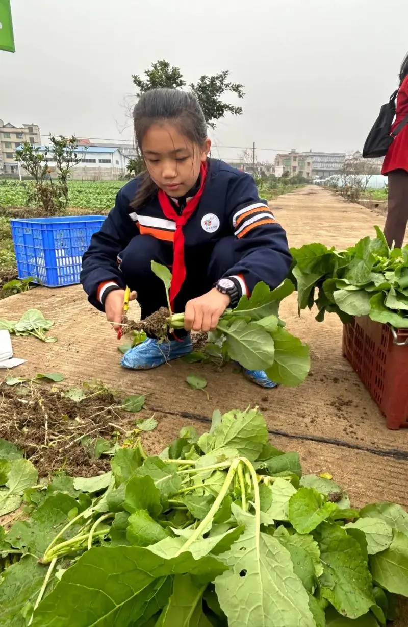 湘潭市大中小学思政引领一体化——农耕文化研学活动 湘潭市大中小学思政引领一体化——农耕文化研学活动