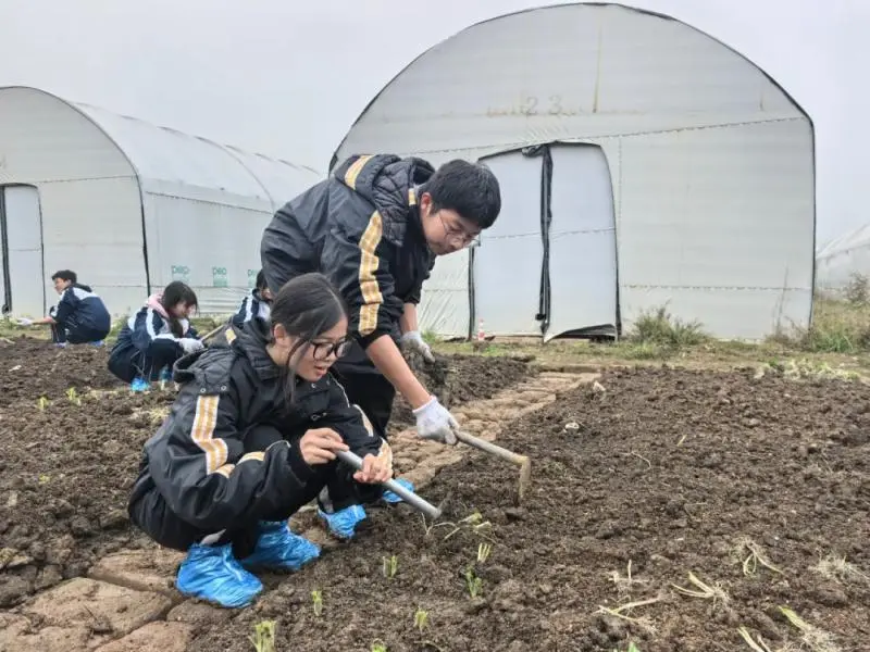 湘潭市大中小学思政引领一体化——农耕文化研学活动 湘潭市大中小学思政引领一体化——农耕文化研学活动