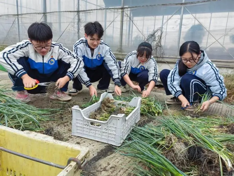 湘潭市大中小学思政引领一体化——农耕文化研学活动 湘潭市大中小学思政引领一体化——农耕文化研学活动