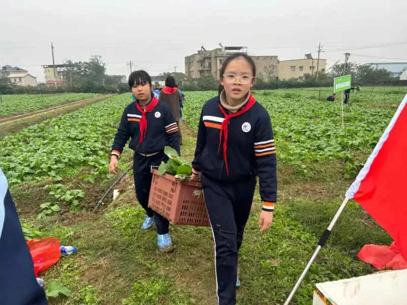 湘潭市大中小学思政引领一体化——农耕文化研学活动 湘潭市大中小学思政引领一体化——农耕文化研学活动