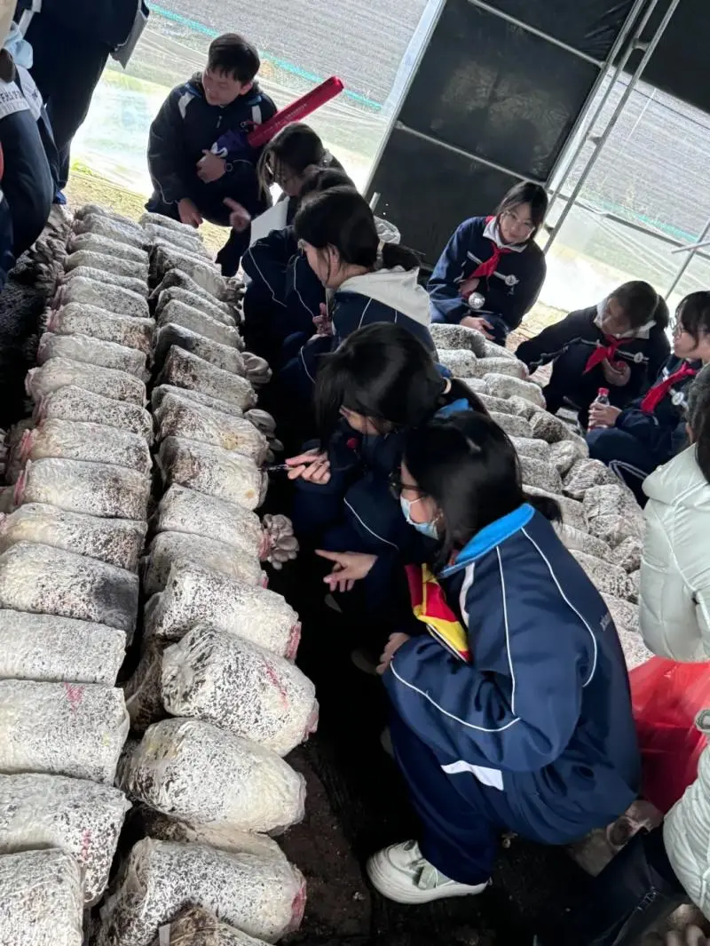 湘潭市大中小学思政引领一体化——农耕文化研学活动 湘潭市大中小学思政引领一体化——农耕文化研学活动
