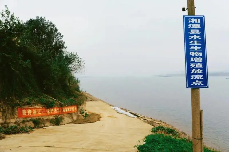 以“鱼”还“渔”护生态——湘潭县法院联合多部门开展增殖放流活动 以“鱼”还“渔”护生态——湘潭县法院联合多部门开展增殖放流活动