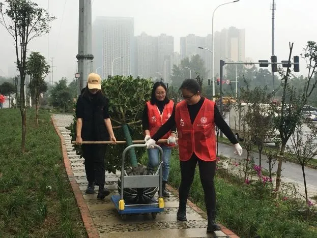 “三心”服务助力积善社区“新风貌” “三心”服务助力积善社区“新风貌”