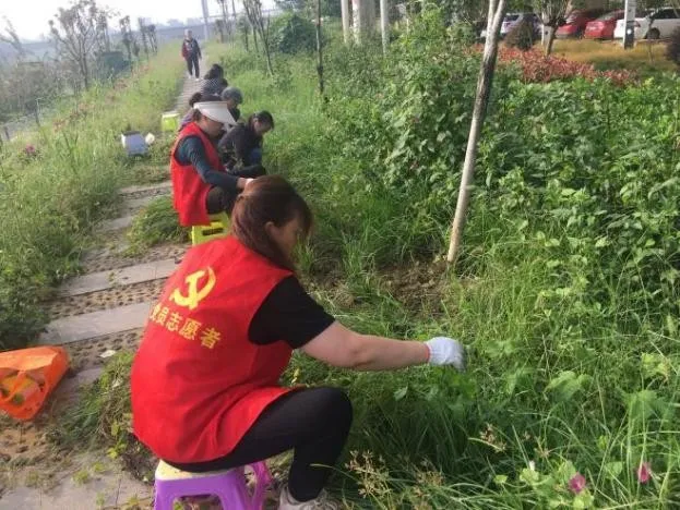 “三心”服务助力积善社区“新风貌” “三心”服务助力积善社区“新风貌”