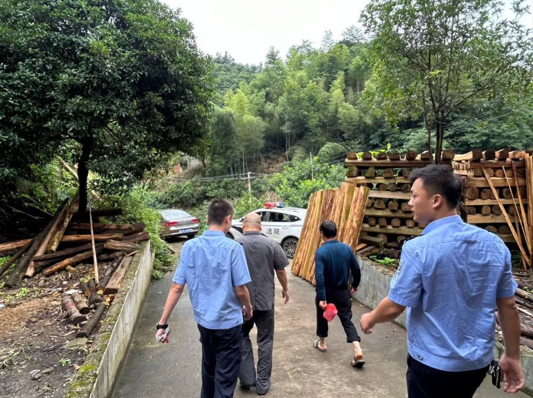 三高四新 法治护航 | 涉金融攻坚行动进行时,谱写执行 三高四新 法治护航 | 涉金融攻坚行动进行时,谱写执行
