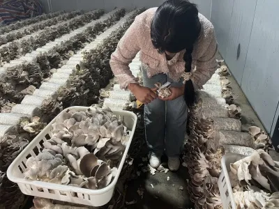 云南鲁甸：“小车间” 托起就业“大民生”
