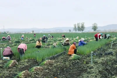 云南鲁甸：“小车间” 托起就业“大民生”