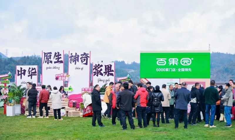 百果园招牌墨珍宝红果参上市，“中华浆果”走出云南大山