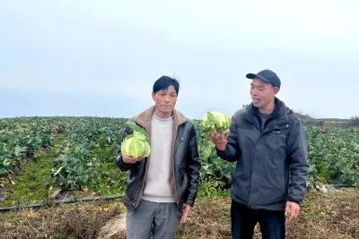 鲁甸乐红:土地流转“转”出增收新希望