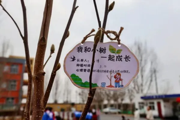 亮点！植树护绿，剪纸传情～肥乡这场校园活动超有料！