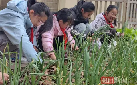 校园农场播种忙，爱心蔬菜送邻里